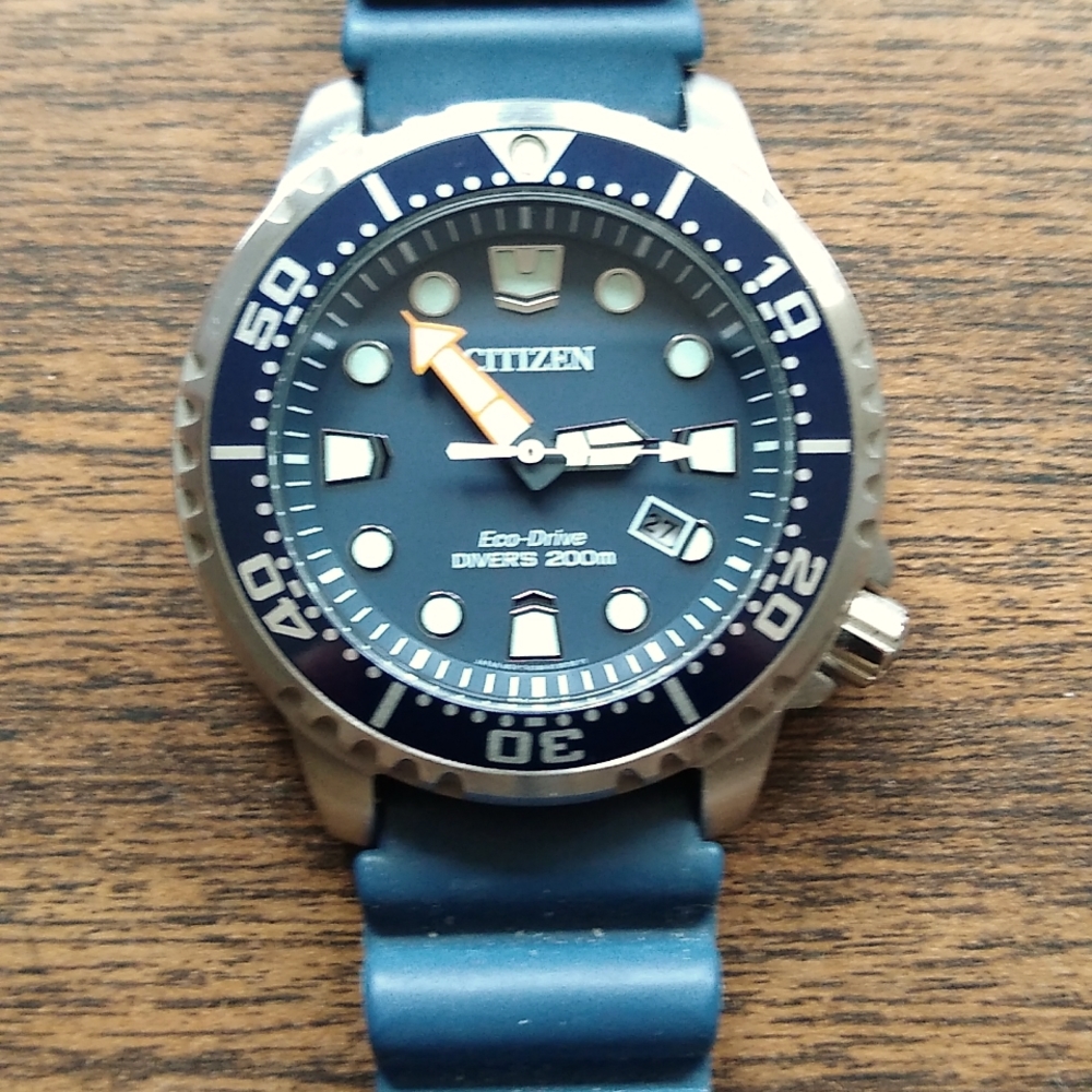 Citizen Eco Drive Promaster men's dive watch